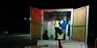 4,6 toneladas de pesca ilegal fue el resultado de dos operativos de fiscalización en la región de Valparaíso