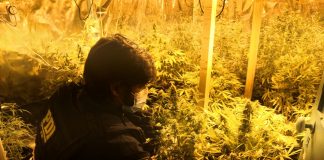 PDI LOS ANDES DETUVO A SIETE PERSONAS EN “OPERACIÓN MONTENEGRO”