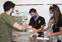 San Felipe: Centro Veterinario Municipal incorporó segundo profesional para reforzar servicio que se entrega a la comunidad