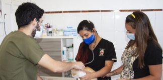 San Felipe: Centro Veterinario Municipal incorporó segundo profesional para reforzar servicio que se entrega a la comunidad