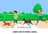 Municipalidad de Zapallar presenta novedosa corrida con mascotas: “Corre con tu Perro, Corre”