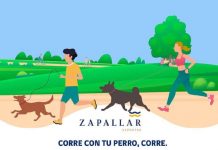 Municipalidad de Zapallar presenta novedosa corrida con mascotas: “Corre con tu Perro, Corre”