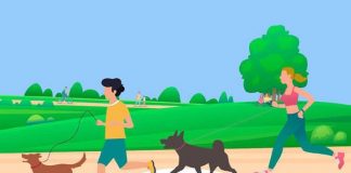 Municipalidad de Zapallar presenta novedosa corrida con mascotas: “Corre con tu Perro, Corre”