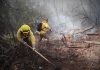Conaf resalta la labor de más de 400 brigadistas que luchan contra el fuego en la Región de Valparaíso
