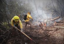 REPORTE DE CARABINEROS POR INCENDIOS: SE HAN OTORGADO MÁS DE 111 MIL SALVOCONDUCTOS PARA ADQUIRIR COMBUSTIBLE