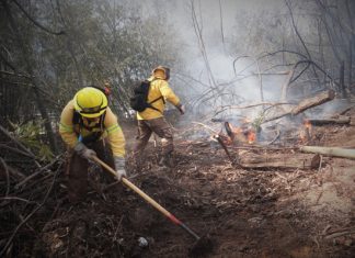 CONAF llama a prevenir incendios forestales ante altas temperaturas en la Región de Valparaíso