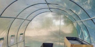 Agrupación indígena Futa Repu de Calle Larga inauguró vivero de hierbas medicinales