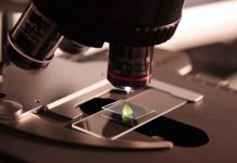 Confianza científica