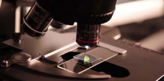 Confianza científica