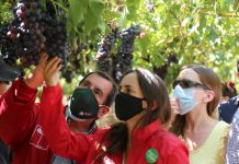 Ministra Undurraga declara emergencia agrícola para las provincias de San Felipe y Los Andes en la región de Valparaíso