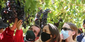 Ministra Undurraga declara emergencia agrícola para las provincias de San Felipe y Los Andes en la región de Valparaíso