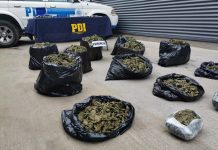 OPERACIÓN “LOS PIZARROS” DE LA PDI LA PERMITIÓ DETENER A BANDA CRIMINAL CON 364 MILLONES EN DROGA