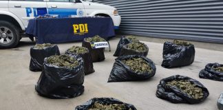 OPERACIÓN “LOS PIZARROS” DE LA PDI LA PERMITIÓ DETENER A BANDA CRIMINAL CON 364 MILLONES EN DROGA