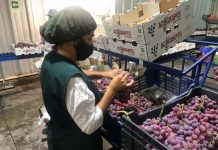 Agricultores de Valparaíso valoran suspensión de cobro de “horas punta” anunciado por Energía