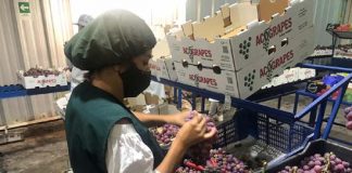 Agricultores de Valparaíso valoran suspensión de cobro de “horas punta” anunciado por Energía