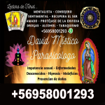 DAVID_MISTICO_1PORTAL