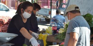 San Felipe: Municipio autorizó funcionamiento de Feria Diego de Almagro para este viernes 26 de marzo
