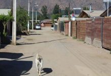 Comenzará esperado proceso de pavimentación de las calles de tierra de la Villa Pablo Neruda de Llay Llay