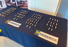 PDI Valparaíso detuvo a sujeto con más de un kilo de droga en ovoides