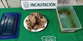 INCAUTAN CARNE IMPREGNADA CON RESINA DE MARIHUANA EN CÁRCEL DE LOS ANDES