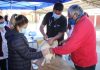 Municipio de Llay Llay realizará mil esterilizaciones de mascotas durante el segundo semestre de este año 2021