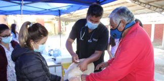 Municipio de Llay Llay realizará mil esterilizaciones de mascotas durante el segundo semestre de este año 2021