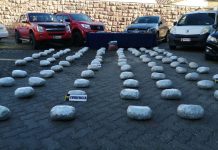 “OPERACIÓN CERES” DE LA PDI LOS ANDES PERMITIÓ DETENER A BANDA CRIMINAL CON MÁS DE 547 MILLONES EN DROGA