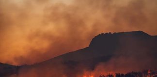 SEGUROS PARAMÉTRICOS: LA ALTERNATIVA PARA ENFRENTAR LOS EFECTOS DEL CAMBIO CLIMÁTICO EN LA AGRICULTURA