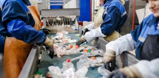 La economía circular: ¿un motor para la generación de empleos?