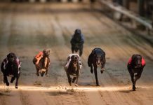 Tradición de crueldad