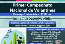 Primer Campeonato Nacional de Volantines se realizará este fin de semana en Calle Larga