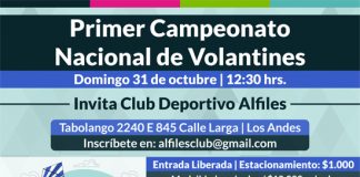 Primer Campeonato Nacional de Volantines se realizará este fin de semana en Calle Larga