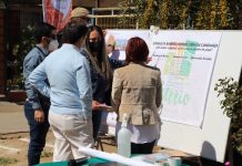 LOS ANDES: Colocan primera piedra de nueva plazoleta de juegos en René Schneider
