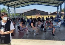 ELECCIONES: PARTICIPACIÓN ELECTORAL NO LOGRÓ SUPERAR A LA HISTÓRICA DEL PLEBISCITO