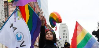 CONVENCIÓN: MOVILH PROPUSO SUSTITUIR CATEGORÍA DE “HOMBRE Y MUJER” POR “PERSONAS”