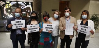 BANCADA DEL PPD PRESENTÓ RECURSO DE PROTECCIÓN PARA FRENAR LICITACIÓN DEL LITIO