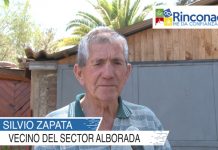 Vecinos de Rinconada destacan trabajos de poda y rebaje de árboles peligrosos en la comuna