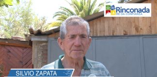 Vecinos de Rinconada destacan trabajos de poda y rebaje de árboles peligrosos en la comuna