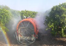 Seminario Manejo Integrado de Plagas cuarentenarias en cítricos