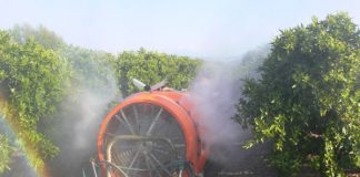 Seminario Manejo Integrado de Plagas cuarentenarias en cítricos