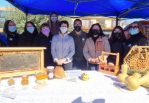 Llay Llay firma nuevo acuerdo que busca asegurar la protección de las Abejas y sus enjambres