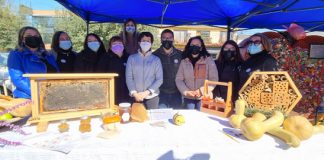 Llay Llay firma nuevo acuerdo que busca asegurar la protección de las Abejas y sus enjambres