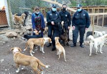 GENDARMES DE LIMACHE APADRINAN REFUGIO CANINO