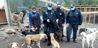 GENDARMES DE LIMACHE APADRINAN REFUGIO CANINO