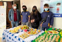 Entusiasta participación de establecimientos educacionales en el retorno de las Ferias Escolares Saludables.