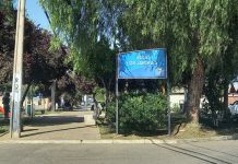 Personal de Seguridad Pública Municipal de Rinconada, junto a carabineros detuvo a delincuente que robó en casa habitación.