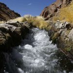 bolivia_aguas_silala_foto_aaa