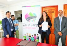 Calle Larga realizará masivo recambio de antiguas luminarias públicas por luces LED de última generación.