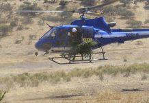 PDI incauta marihuana avaluada en 80 millones de pesos en la Ligua