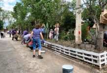 Proyecto de sustentabilidad en el barrio René Schneider destaca por alta participación